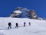 <h5>Pointe percée</h5><p>                                                   </p>