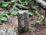 <p>Une borne la croix de Savoie d'un coté et la fleur de lys derrière</p>
