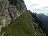 <p>Le sangle</p>