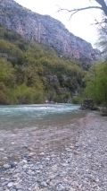 <p>																	</p>