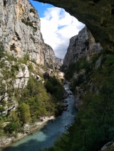<p>																	</p>