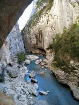 <p>																	</p>