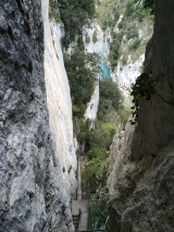 <p>																	</p>