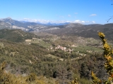 <p>																	</p>