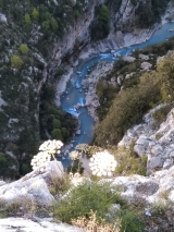 <p>																	</p>