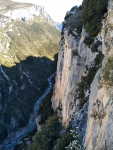 <p>																	</p>