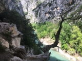 <p>																	</p>