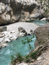 <p>																	</p>