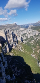 <p>                                                   </p>
