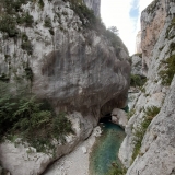 <p>                                                   </p>