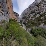 <p>                                                   </p>