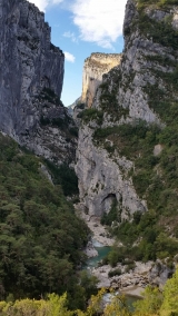 <p>                                                   </p>