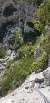 <p>                                                   </p>