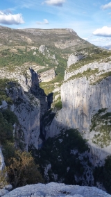 <p>                                                   </p>