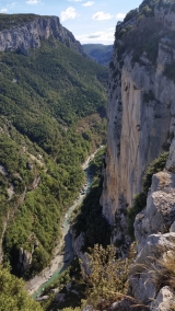 <p>                                                   </p>