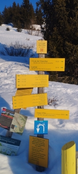 <p>                                                   </p>