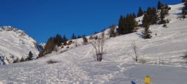 <p>                                                   </p>