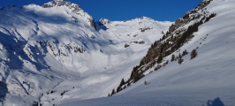 <p>                                                   </p>