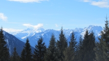 <p>                                                   </p>