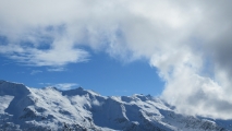 <p>                                                   </p>