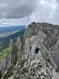 <p>                                                   </p>