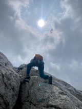 <p>                                                   </p>