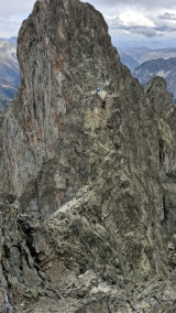 <p>                                                   </p>