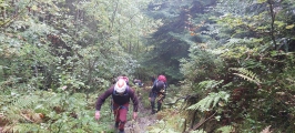 <h5>Montée boueuse</h5><p>                                                   </p>
