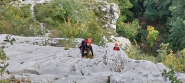 <p>                                                   </p>