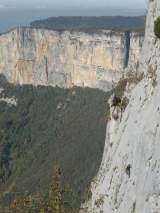 <p>                                                                                                                                                         </p>