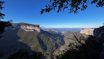 <p>                                                                                                                                                         </p>