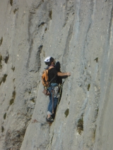 <p>                                                                                                                                                         </p>