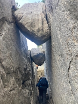<p>                                                   </p>