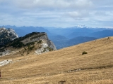 <p>                                                   </p>