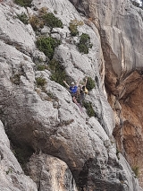 <h5>J1 vue sur Adieu Zidane</h5><p>                                                                                                      </p>